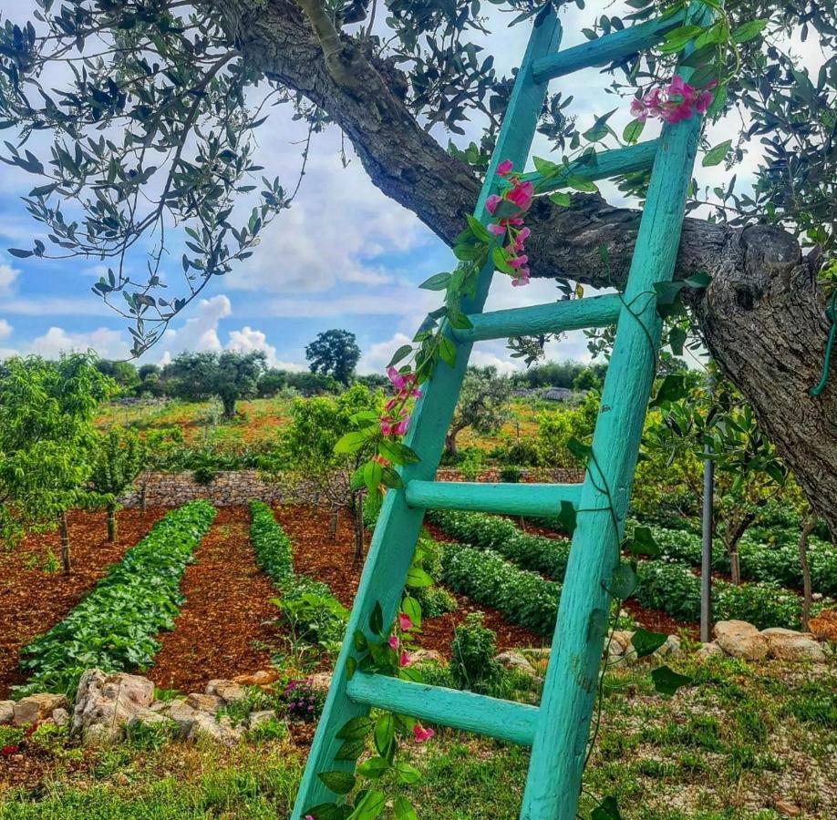 Villa Trulli Pax Animi Martina Franca Exterior foto